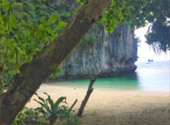 Off the Beaten Path: 4 วัน 3 คืน