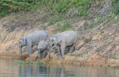 Off the Beaten Path: 4 วัน 3 คืน