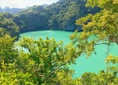 Left Behind on Island แพ็คเกจ เกาะพะลวย
