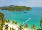Left Behind on Island แพ็คเกจ เกาะพะลวย