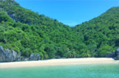 Left Behind on Island แพ็คเกจ เกาะพะลวย