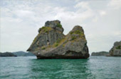 Left Behind on Island แพ็คเกจ เกาะพะลวย