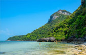 Left Behind on Island แพ็คเกจ เกาะพะลวย