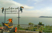 Left Behind on Island แพ็คเกจ เกาะพะลวย