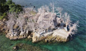 Coastal Ranger: Full Moon 4 วัน 3 คืน เดือนละครั้ง