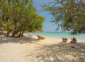 Coastal Ranger: Full Moon 4 วัน 3 คืน เดือนละครั้ง