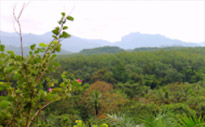 Drink in the Beauty: 3 วัน 2 คืน สุราษฯ เขื่อนเชี่ยวหลาน เขาสก