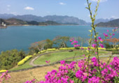 Wanderlust Calls: 4 วัน 3 คืน
