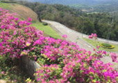 Wanderlust Calls: 4 วัน 3 คืน