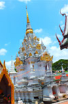 Drink in the Beauty: 3 วัน 2 คืน สุราษฯ เขื่อนเชี่ยวหลาน เขาสก