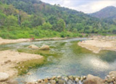 One Fell Swoop: นครศรีธรรมราช ทัวร์วันเดียว จากสุราษ