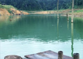 Place Lost to Time : ลึกลับ ลึกสุด เขื่อนเชี่ยวหลาน เต็มวัน