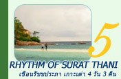 Rhythm of Surat Thani สุราษ เขื่อนรัชชประภา เกาะเต่า 4 วัน 3 คืน