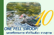 One Fell Swoop: นครศรีธรรมราช ทัวร์วันเดียว จากสุราษ