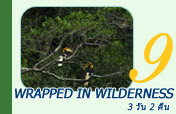 Wrapped in wilderness: 3 วัน 2 คืน