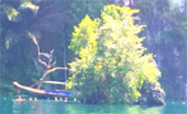 Nature Soothes Spirit. เขาสก เขื่อนรัชชประภา สุราษฏร์ธานี