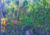 Nature Soothes Spirit. เขาสก เขื่อนรัชชประภา สุราษฏร์ธานี