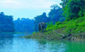 Nature Soothes Spirit. เขาสก เขื่อนรัชชประภา สุราษฏร์ธานี