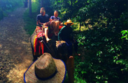 Nature Soothes Spirit. เขาสก เขื่อนรัชชประภา สุราษฏร์ธานี