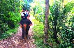 Nature Soothes Spirit. เขาสก เขื่อนรัชชประภา สุราษฏร์ธานี