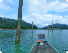 Wrapped in wilderness: 3 วัน 2 คืน