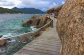 Rhythm of Surat Thani สุราษ เขื่อนรัชชประภา เกาะเต่า 4 วัน 3 คืน