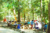 Rhythm of Surat Thani สุราษ เขื่อนรัชชประภา เกาะเต่า 4 วัน 3 คืน