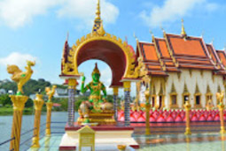 Leave No Stone Unturned: สุราษฏร์ธานี