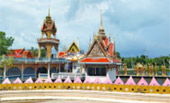 Leave No Stone Unturned: สุราษฏร์ธานี