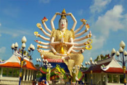 Leave No Stone Unturned: สุราษฏร์ธานี