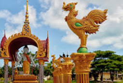 Leave No Stone Unturned: สุราษฏร์ธานี