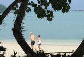 Wanderlust Calls: 4 วัน 3 คืน