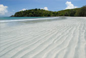 Wanderlust Calls: 4 วัน 3 คืน