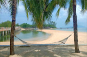 Wanderlust Calls: 4 วัน 3 คืน