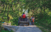Wanderlust Calls: 4 วัน 3 คืน
