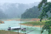 Wrapped in wilderness: 3 วัน 2 คืน