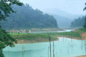 Wrapped in wilderness: 3 วัน 2 คืน