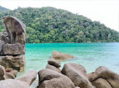 Earth Stalker: สุรินทร์ สิมิลัน เขาสก