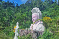 Earth Stalker: สุรินทร์ สิมิลัน เขาสก
