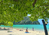 ติดเกาะสุรินทร์ : พักร้อน บนเกาะ 3 วัน 2 คืน