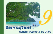 ติดเกาะสุรินทร์ : พักร้อน บนเกาะ 3 วัน 2 คืน