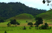 Dream Islands : 3 เกาะในฝัน