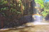 Exotic Trail อุ้มผาง - ทีลอซู 4 วัน 3 คืน