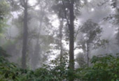 Exotic Trail อุ้มผาง - ทีลอซู 4 วัน 3 คืน