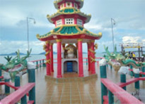 ตรัง 11 ล้านเซลล์4 วัน 3 คืน เกาะลันตา เกาะรอก เกาะกระดาน