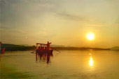 ตรัง 11 ล้านเซลล์4 วัน 3 คืน เกาะลันตา เกาะรอก เกาะกระดาน
