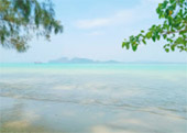 ตรัง 11 ล้านเซลล์4 วัน 3 คืน เกาะลันตา เกาะรอก เกาะกระดาน