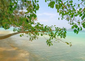 ตรัง 11 ล้านเซลล์4 วัน 3 คืน เกาะลันตา เกาะรอก เกาะกระดาน
