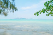 ตรัง 11 ล้านเซลล์4 วัน 3 คืน เกาะลันตา เกาะรอก เกาะกระดาน