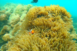 Explore Trang: ตรัง 4 วัน 3 คืน